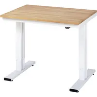RAU GmbH RAU Werktisch 1000x800x720-1120mm elektrisch B-Platte 25mm l.gr 4040376213198 RAU GmbH
