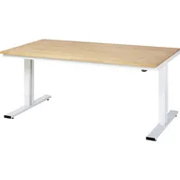 RAU GmbH RAU Werktisch 2000x1000x720-1120mm elektrisch B-Platte 25mm l.gr 4040376213129 RAU GmbH