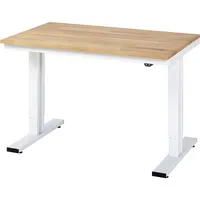 RAU GmbH RAU Werktisch 1250x800x720-1120mm elektrisch B-Platte 25mm l.gr 4040376463746 RAU GmbH