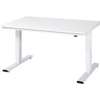 RAU GmbH RAU Werktisch 1500x1000x720-1120mm elektrisch M-Platte 22mm l.gr 4040376017109 RAU GmbH