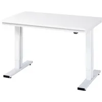 RAU GmbH RAU Werktisch 1250x800x720-1120mm elektrisch M-Platte 22mm l.gr 4040376213310 RAU GmbH