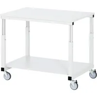 RAU GmbH RAU Tischwagen Serie E M-Platte 22mm 1000x700x650-1000mm l.gr 4040376863980 RAU GmbH