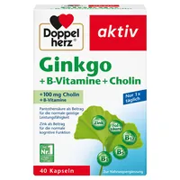 Queisser Pharma Doppelherz Ginkgo +B-Vitamine +Cholin 4009932137187 Queisser Pharma 40 Stück