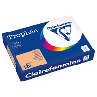 Clairefontaine Kopierpapier Trophée Color DIN A4 120 g/m² 250 Bl./Pack.