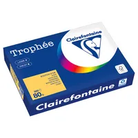 Clairefontaine Kopierpapier Trophée Color DIN A4 80 g/m² 500 Bl./Pack.