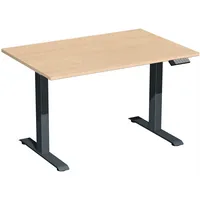 Geramöbel Sitz-Steh-Schreibtisch Elektro Elevate Basic, elektrisch höhenverstellbar, 73-123cm (H), 120x80cm (BxT), rechteckig, buche / ant