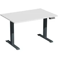 Geramöbel Sitz-Steh-Schreibtisch Elektro Elevate Basic, elektrisch höhenverstellbar, 73-123cm (H), 120x80cm (BxT), rechteckig, lichtgrau /