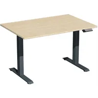 Geramöbel Sitz-Steh-Schreibtisch Elektro Elevate Basic, elektrisch höhenverstellbar, 73-123cm (H), 120x80cm (BxT), rechteckig, ahorn / ant