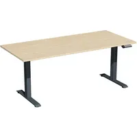 Geramöbel Sitz-Steh-Schreibtisch Elektro Elevate Basic, elektrisch höhenverstellbar, 73-123cm (H), 180x80cm (BxT), rechteckig, ahorn / ant