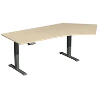 Geramöbel Sitz-Steh-Schreibtisch Elektro Elevate Basic, elektrisch höhenverstellbar, 73-123cm (H), 216,6x113cm (BxT), Freiform, ahorn / an