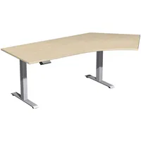Geramöbel Sitz-Steh-Schreibtisch Elektro Elevate Basic, elektrisch höhenverstellbar, 73-123cm (H), 216,6x113cm (BxT), Freiform, ahorn / si