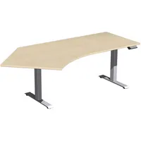 Geramöbel Sitz-Steh-Schreibtisch Elektro Elevate Basic, elektrisch höhenverstellbar, 73-123cm (H), 216,6x113cm (BxT), Freiform, ahorn / si