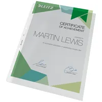 LEITZ Prospekthüllen 4780 DIN A4 transparent genarbt 0,13 mm, 100 St.