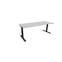 Schreibtisch eModel 30 810073994 elektrisch höhenverstellbar 65-131cm (H) 200x80cm (BxT) rechteckig platinum   schwarz 590