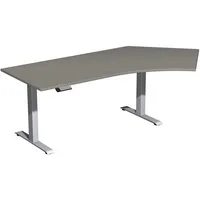 Geramöbel Schreibtisch Elevate Basic, elektrisch höhenverstellbar, 73-123cm (H), 216,6x113cm (BxT), Freiform, onyx / silber 4038933544588