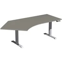 Geramöbel Schreibtisch Elevate Basic, elektrisch höhenverstellbar, 73-123cm (H), 216,6x113cm (BxT), Freiform, onyx / silber 4038933544403