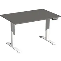 Geramöbel Schreibtisch Elevate Basic, elektrisch höhenverstellbar, 73-123cm (H), 120x80cm (BxT), rechteckig, onyx / weiß 4038933543888 Ger