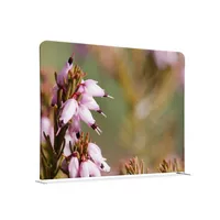 Showdown Displays Showdown Raumteiler 150x150cm Pinke Blume Erica 8596052168307 Showdown Displays