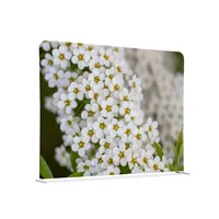 Showdown Displays Showdown Raumteiler 150x150cm Weiße Blume Spirea 8596052168284 Showdown Displays