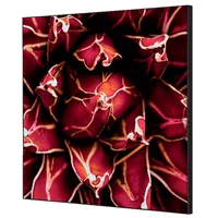 Showdown Displays Showdown Wanddekoration Set 40x40cm Kaktus rt 8596052181375 Showdown Displays