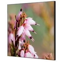 Showdown Displays Showdown Wanddekoration Set 40x40cm Pinke Blume Erica 8596052181313 Showdown Displays