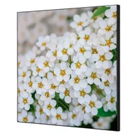 Showdown Displays Showdown Wanddekoration Set 40x40cm Weiße Blume Spirea 8596052181290 Showdown Displays