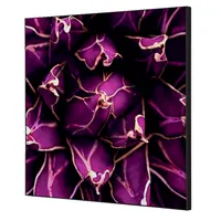 Showdown Displays Showdown Wanddekoration Set 40x40cm Kaktus vi 8596052181382 Showdown Displays