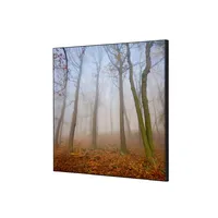 Showdown Displays Showdown Wanddekoration Set 40x40cm Herbstnebel 8596052181399 Showdown Displays