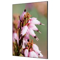 Showdown Displays Showdown Wanddekoration Set A1 Pinke Blume Erica 8596052181610 Showdown Displays