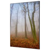 Showdown Displays Showdown Wanddekoration Set A1 Herbstnebel 8596052181696 Showdown Displays