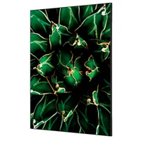 Showdown Displays Showdown Wanddekoration Set A1 Kaktus gn 8596052181665 Showdown Displays