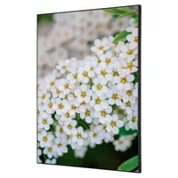 Showdown Displays Showdown Wanddekoration Set A2 Weiße Blume Spirea 8596052181894 Showdown Displays