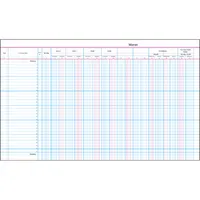 Soldan Spaltenbuch 112281 Anwaltsjournal, 995x305mm, 50 Blatt / 100 Seiten, mit Kopfleiste, 10 Spalten über 2 Seiten 4250340506069 Sold