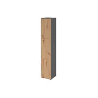 HAMMERBACHER Schließfachschrank grafit, asteiche V264L3/G/R/DS, 3 Schließfächer 40,0 x 42,0 x 215,6 cm