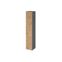 HAMMERBACHER Schließfachschrank grafit, asteiche V264L6/G/R/DS, 6 Schließfächer 40,0 x 42,0 x 215,6 cm
