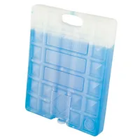 CAMPINGAZ Kühlakku Freez'Pack M30