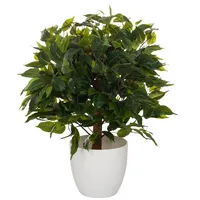 HJH Office GmbH Kunstpflanze Ficus 871061 4064323038481 HJH Office GmbH