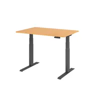 Hammerbacher Sitz-Steh-Schreibtisch Basic, elektrisch höhenverstellbar, 64-129cm (H), 120x80cm (BxT), rechteckig, buche / graphit 40320621857