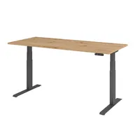 Hammerbacher Sitz-Steh-Schreibtisch Basic, elektrisch höhenverstellbar, 64-129cm (H), 180x80cm (BxT), rechteckig, asteiche / graphit 40320621 2 Stück