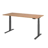 Hammerbacher Sitz-Steh-Schreibtisch Basic, elektrisch höhenverstellbar, 64-129cm (H), 180x80cm (BxT), rechteckig, nussbaum / graphit 40320621 2 Stück