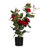 PAPERFLOW Kunstpflanze PARROU54 Rosenstock rt 54cm 3660141963595 PAPERFLOW