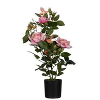 PAPERFLOW Kunstpflanze PARROS54 Rosenstock ro 54cm 3660141963588 PAPERFLOW