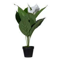 PAPERFLOW Kunstpflanze PALUNE55 Einblatt 55cm 3660141963526 PAPERFLOW