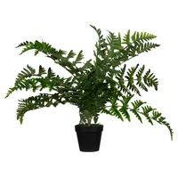 PAPERFLOW Kunstpflanze PAFOUG55 Farn 55cm 3660141963403 PAPERFLOW
