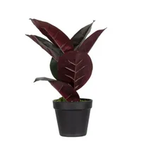 PAPERFLOW Kunstpflanze PAFICE36 Gummibaum 36cm 3660141963472 PAPERFLOW