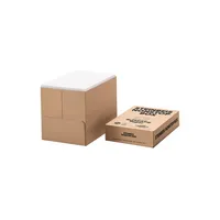 Steinbeis Recyclingpapier No. 4 (ehem.: Evolution White) K1701666080C A4 80g weiß 100er Weiße  4260074845297 Steinbeis 2500 Blatt