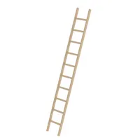 MUNK Anlegeleiter 33110 oTraverse, 1x 10 Stufen, braun, Holz 4031405331105 MUNK