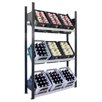 SCHULTE Getränkekistenregal 37006-S schwarz, silber 100,0 x 30,0 x 180,0 cm 4058255039036 SCHULTE
