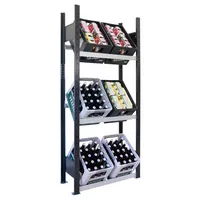 SCHULTE Getränkekistenregal 37001-S schwarz, silber 75,0 x 30,0 x 180,0 cm 4004514244895 SCHULTE