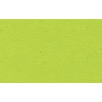 Bähr Tonpapier Bähr 2232251, 130g, 50 x 70cm, hellgrün 4008525709831 Bähr 10 Blatt